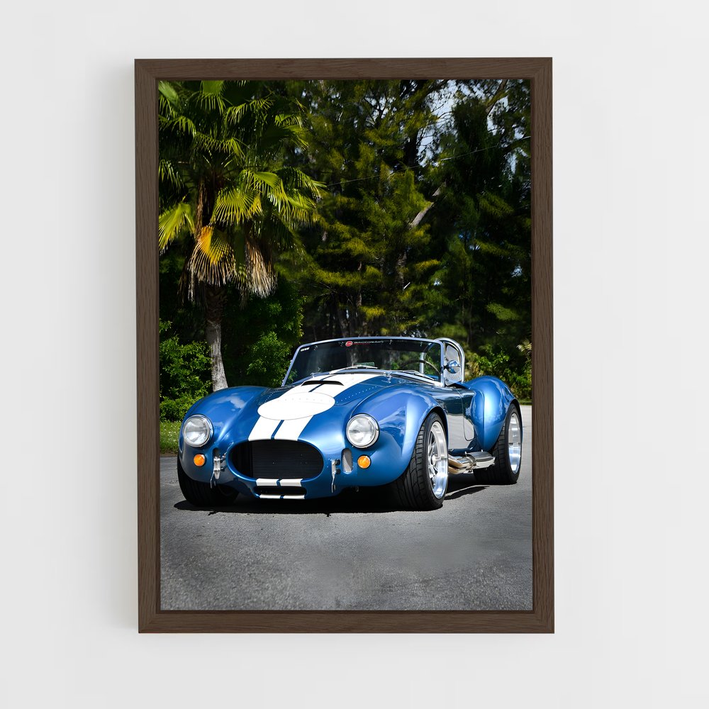 Poster Cobra Sportif – affiche AC Cobra (vue 5)
